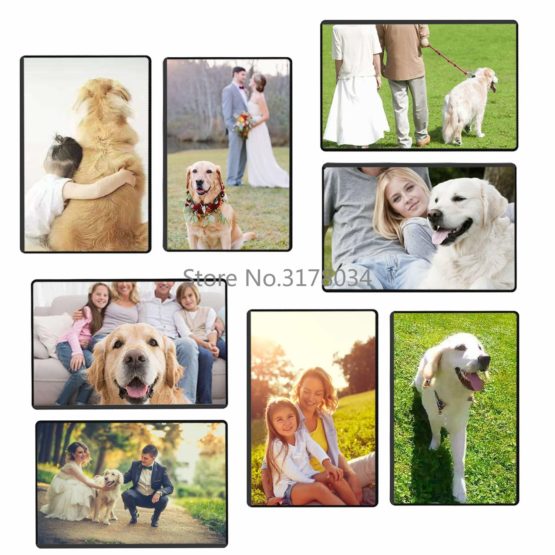 5 pack Magnetic Picture Frames Photo Magnets