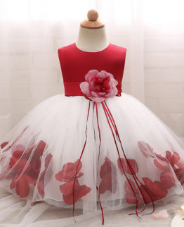 Flower girl - Baptism gown - Party occasion wear